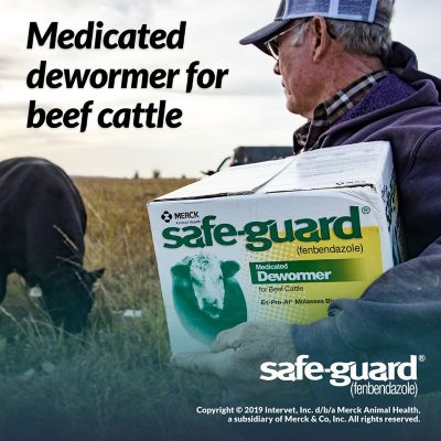 Image showing  Medicated Cattle Dewormer En-Pro-Al Molasses Block, 25 lb.