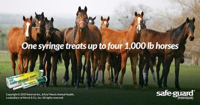 Image showing 5 th Safe-Guard Dewormer Paste, 10%, 92g