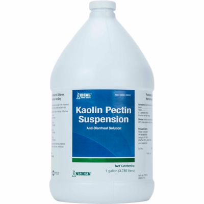Ideal Animal Health Kaolin Pectin Suspension Diarrhea Treatment, 1 gal.