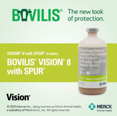 Image showing  Vision 8 Vaccine with Spur for Cattle and Sheep