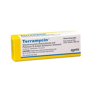 can i use erythromycin opthamalic ointment usp on a dog