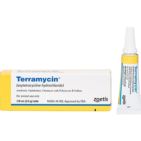 Zoetis Terramycin Antibiotic Ophthalmic Ointment for Dogs, 3.5 g