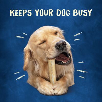 Image showing Purina Busy Rollhide with Real Beefhide, Chicken