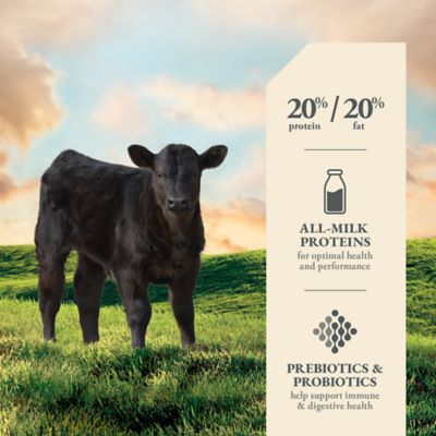 Image showing  Ultra Calf Milk Replacer