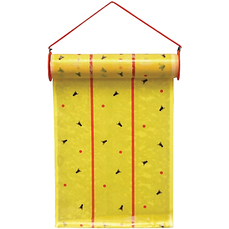 Large Fly Trap Giant Hanging Fly Glue Trap Roll - China Fly and