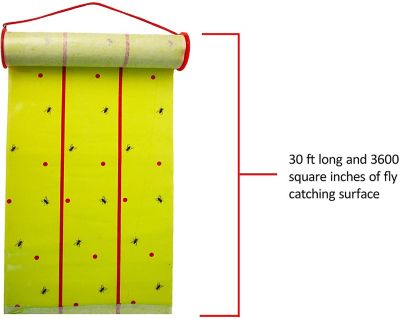 Image showing  Giant Fly Trap Roll, 30 ft.