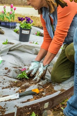 Image showing  Womens Pro Synthetic Gloves, Aqua