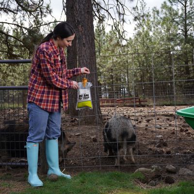 Image showing  Outdoor Big Bag Disposable Fly Trap