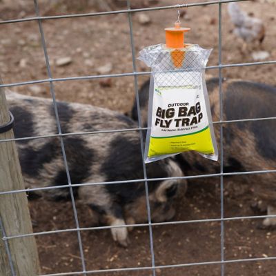 Image showing  Outdoor Big Bag Disposable Fly Trap