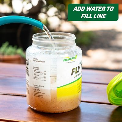 Image showing  Fly Trap with Attractant, Reusable