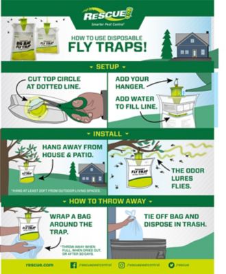 Image showing  Disposable Fly Trap