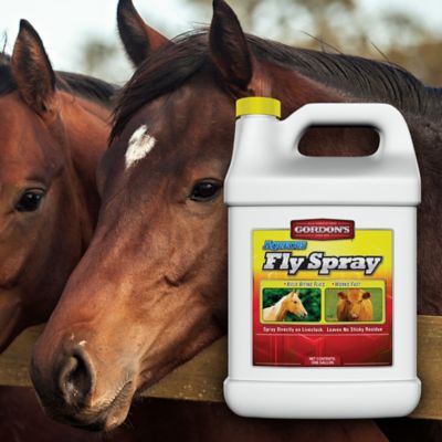 Image showing  1 gal. Aqueous Fly Spray