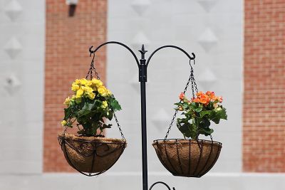 Image showing 5 th Ashman Premium Bird Feeding Station Kit, A Multi Bird Feeder Hanging Kit and Bird Bath for Attracting Wild Birds.