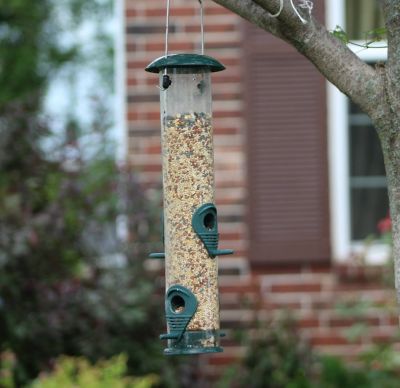 Image showing  2 lb. Spacious Metal Bird Feeder