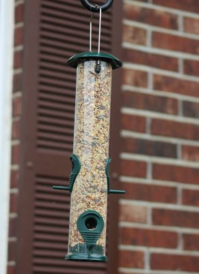 Image showing  2 lb. Spacious Metal Bird Feeder