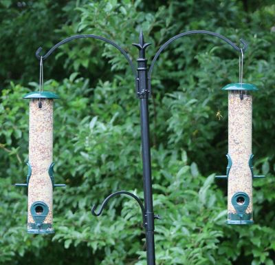 Ashman Bird Feeder (2 Pack), Metal Top and Bottom, Spacious Design, Attractive & Long Lasting, Sunflower Black Seeds.