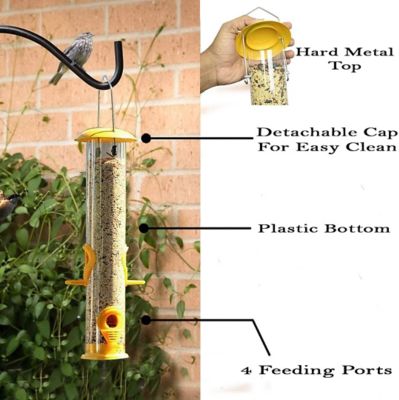 Image showing  Bird Feeder, Metal Top and Bottom, Spacious Design, Attractive & Long Lasting