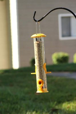 Image showing  Bird Feeder, Metal Top and Bottom, Spacious Design, Attractive & Long Lasting