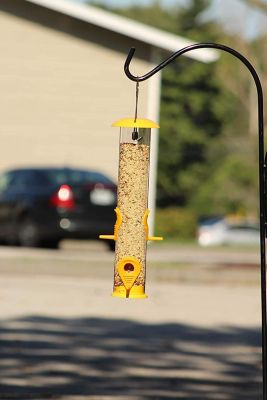 Image showing  Bird Feeder, Metal Top and Bottom, Spacious Design, Attractive & Long Lasting