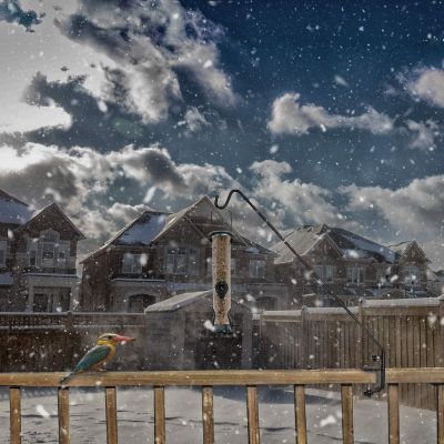 Image showing 5 th Ashman 37 in. Deck Hook, Double Forged Metal Pole & with Clamp, 360 Degree Swivel, Ideal for Bird Feeders, Planters