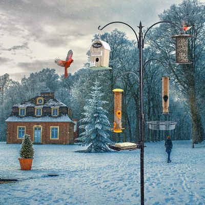 Image showing 6 th Ashman Premium Bird Feeding Station with 2 Bird Feeders for Pole Stand Kit with 4 Hangers, Bird Bath and 5 Prong Base.