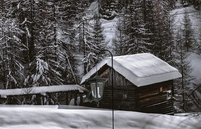 Image showing  Shepherds Hook (4 Pack) 35-Inches, Made of Premium Metal for Hanging Solar Light, Bird Feeders.