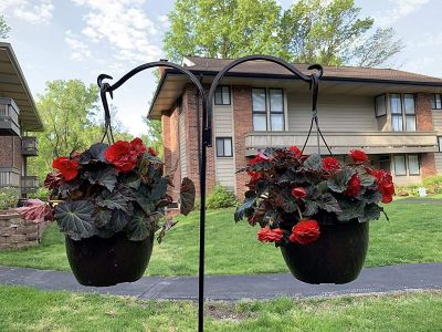 Image showing  Shepherds Hook Two-Sided Hook 65 in. (1 Pack), Rust Resistant Steel Hook Ideal for Hanging Plant Baskets, Bird Feeder