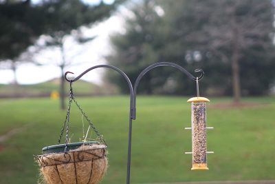 Image showing  Shepherds Hook Two-Sided Hook 65 in. (2 Pack), Rust Resistant Steel Hook Ideal for Hanging Plant Baskets, Bird Feeder