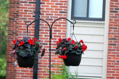 Image showing  Shepherds Hook Two-Sided Hook 65 in. (4 Pack), Rust Resistant Steel Hook Ideal for Hanging Plant Baskets, Bird Feeder