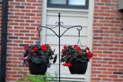 Image showing  Adjustable Shepherds Hook with Floral Design Rust Resistant for Hanging Plant Basket, 1 Pack.