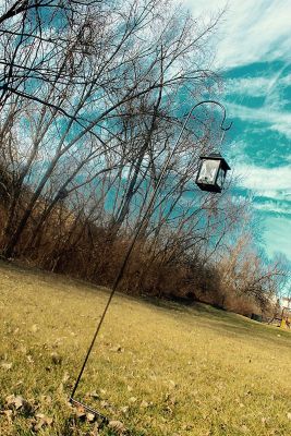 Image showing  Shepherd Hook (1 Pack) 92-Inches, Solid Metal Single pc. Hook, Rust Resistant, Hanging Plant Baskets.