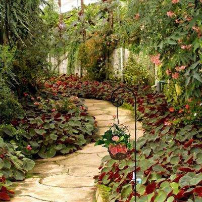 Image showing  Shepherd Curled Hook (12 Pack) 65 in., for Hanging Bird Feeders, Plant Hanging Baskets, Christmas Lights, Lanterns