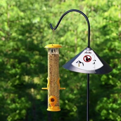 Image showing  Squirrel Proof Baffle - Squirrel Protection for Bird Feeders Protects Bird Houses from Squirrels.