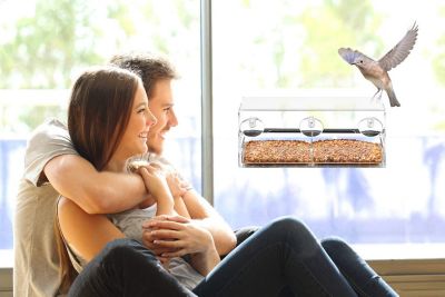 Image showing 1 th Ashman Deluxe Window Bird Feeder, Spacious Design, Long Lasting, Indoor/Outdoor Fill