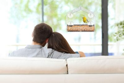 Image showing 3 th Ashman Deluxe Window Bird Feeder, Spacious Design, Long Lasting, Indoor/Outdoor Fill