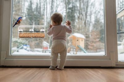 Image showing 4 th Ashman Deluxe Window Bird Feeder, Spacious Design, Long Lasting, Indoor/Outdoor Fill