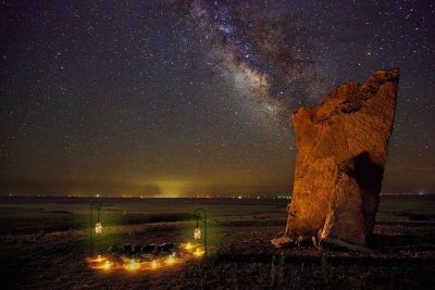 Image showing  92 in. Steel Rust-Resistant Curled Shepherd Hooks, Ideal for Hanging Heavy Plant Baskets, 2-Pack