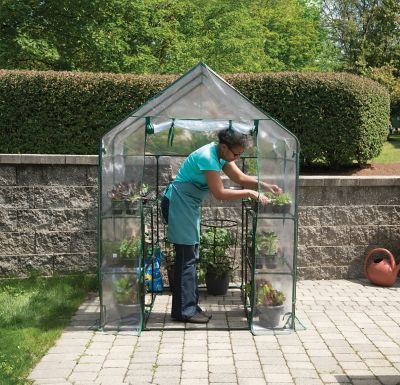 Image showing  Mini Greenhouse 4.6 x 4.6 x 6.4ft.