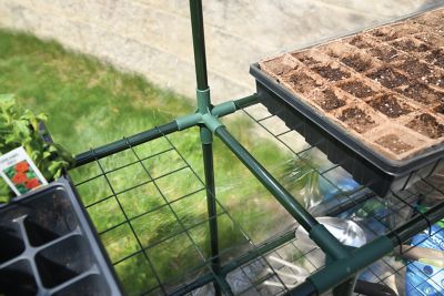 Image showing 6 th Miracle-Gro Mini Greenhouse 4.6 x 4.6 x 6.4ft.