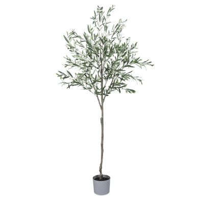 Lone Elm Studios 7 ft. Olive Tree with Plastic Pot