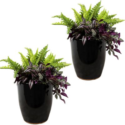 Sunnydaze Decor 3.75 gal. Ceramic Captivating Vista Planters, 2-Pack