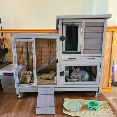 Image showing  2-Story Indoor/Outdoor Bunny Hutch, 34 in. x 41 in. x 26 in., AIR10
