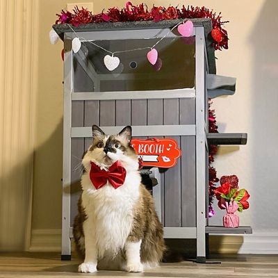 Image showing  2-Story Indoor/Outdoor Wooden Cat House with Waterproof Roof and Door Flaps