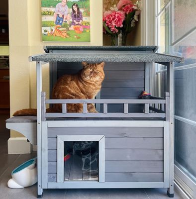 Image showing 7 th Aivituvin Indoor/Outdoor Wooden Cat House, AIR33