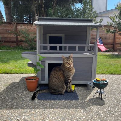 Image showing 8 th Aivituvin Indoor/Outdoor Wooden Cat House, AIR33