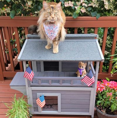 Image showing 9 th Aivituvin Indoor/Outdoor Wooden Cat House, AIR33