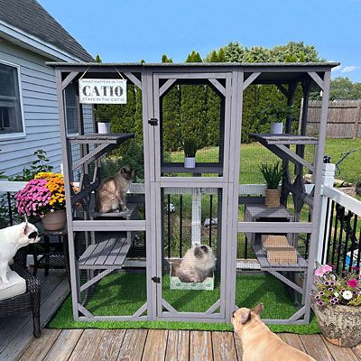 Image showing 5 th Aivituvin Walk-In Extra Large Outdoor Cat Enclosure Connected to House