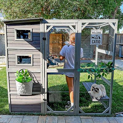 Image showing 8 th Aivituvin Large Outdoor Cat Enclosure