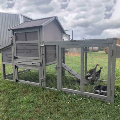 Image showing 7 th Aivituvin Chicken Tractor Mobile Chicken Coop, 2 to 4 Chicken Capacity