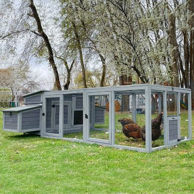 Image showing  Large Chicken Coop with Run, 4 to 6 Chicken Capacity